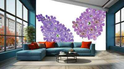 two lilac flower branches on white Wall mural