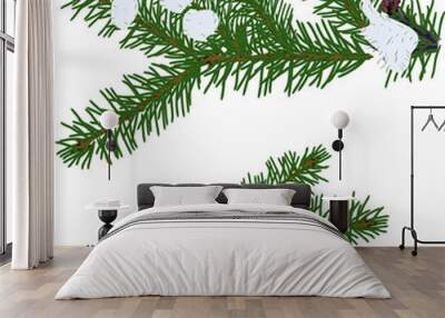 two winter green fir branches on white Wall mural