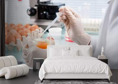 food quality control expert inspecting at chicken eggs Wall mural