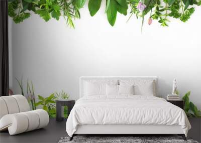 Fresh garden herbs isolated on white background Wall mural