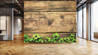 Lucky shamrock. St.Patrick's day background Wall mural