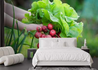 picking vegetables Wall mural