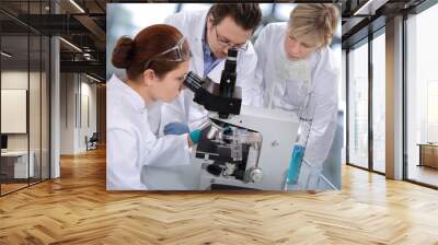 scientists working at the laboratory Wall mural