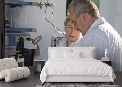 two science technicians survey the results of their experiments Wall mural