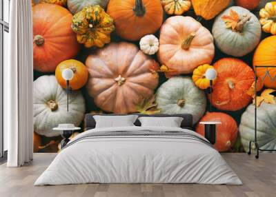 Various fresh ripe pumpkins as background Wall mural