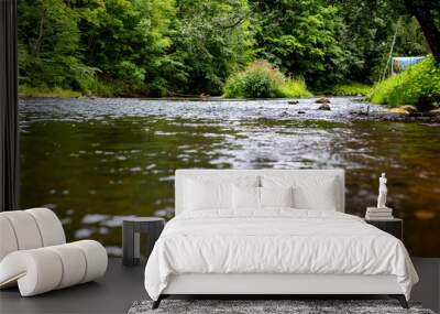 river overgrown with greenery. river running through the forest Wall mural