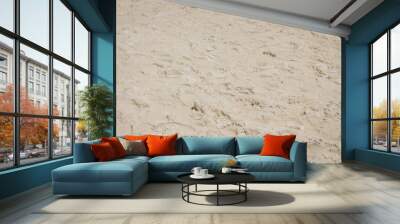 Sandy beach for background and texture Wall mural