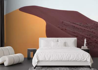 Sossusvlei Desert Dunes in the Morning Sun Wall mural