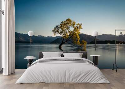 That Wanaka tree lit by the full moon Wall mural