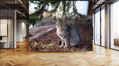 The cat under the tree Wall mural