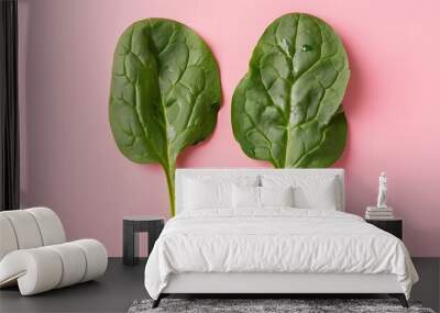 Two flawless green fresh spinach leaves on a pink background Wall mural