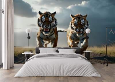 Two Tigers Running Across a Dirt Road Wall mural