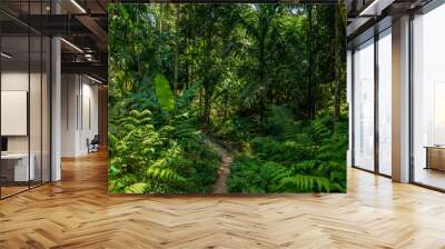 Narrow footpath across tropical forest with palms, banana trees, ferns and jungle trees green nature background hiking trail landscape Wall mural