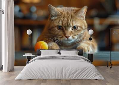 Cat looking at a ball on a tennis table with a blurred background Wall mural