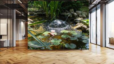 Beautiful small garden pond with two fountains and stone banks. Clear water flows from frog-shaped fountain and umbrella-shaped fountain. Nature concept for design Wall mural