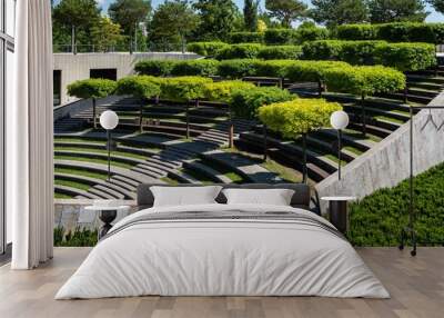 Formed oaks on terraced amphitheater in public landscape city park 