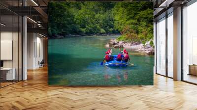 Rafting in Montenegro, river Tara Wall mural