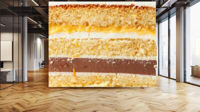 Sponge cake cut. Layered cake with soft caramel, lemon curt and cream cheese frosting. Cake slice textured background Wall mural