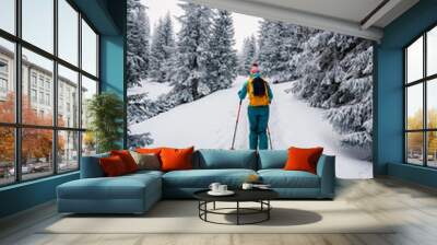 Mountaineer backcountry ski walking ski alpinist in the mountains. Ski touring in alpine landscape with snowy trees. Adventure winter sport. Low Tatras, slovakia Wall mural