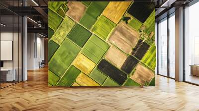 Aerial view of farmland with fields in different colors including green brown and yellow creating a patchwork effect Wall mural