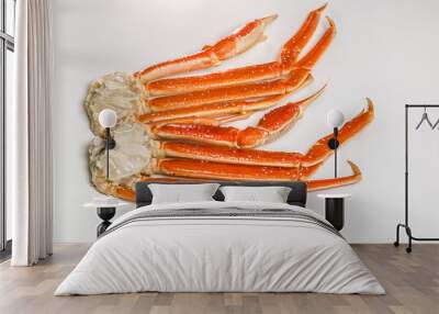 claw of a snow crab on a white background Wall mural