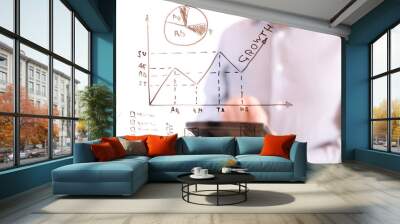 business analysis graph and chart Wall mural