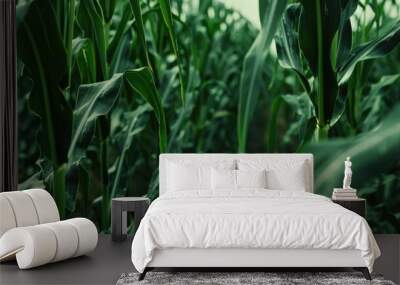 Field of Corn with Green Leaves Wall mural