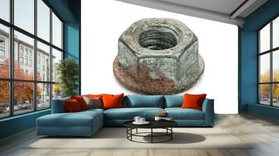 Insulated iron nut on white background Wall mural