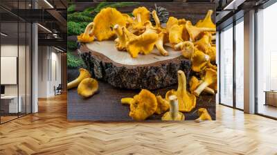 Bright fresh chanterelle mushrooms collected in the forest on a wooden background. Wall mural