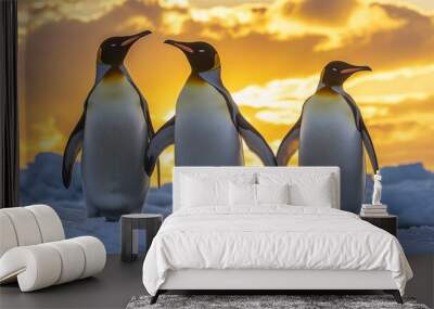 Penguins on Snowy Ground Wall mural