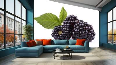 The blackberry Wall mural