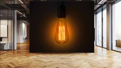 Old vintage edison bulb in the dark Wall mural