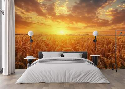 Wheat field at sunset. Ears of golden wheat close-up. Beautiful rural landscape. Rich harvest concept. Wall mural