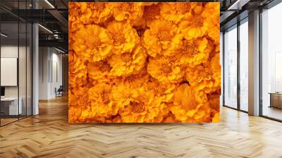 Background of cempasuchil marigolds forming a colorful floral carpet, a traditional element in day of the dead offerings Wall mural