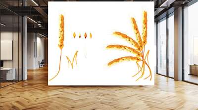 Ears of Wheat on white background. Vector illustration Wall mural