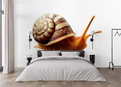 Garden snail macro isolated on transparent background. Generative Ai Wall mural