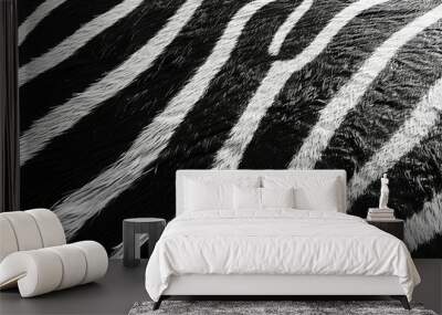 Intricate and detailed abstract zebra stripes pattern in high contrast black and white, close up of the animal skin texture Wall mural