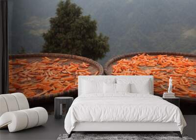 Carrot drying in Himalayan mountains, Nepal Wall mural