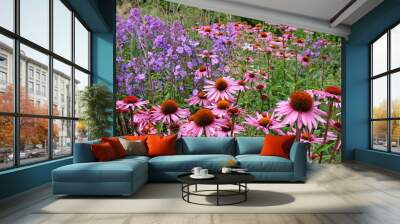 Pink coneflower, Echinacea purpurea 'Rubinstern' and purple garden phlox in flower. Wall mural