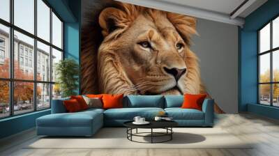 portrait of a lion on grey background Wall mural