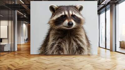 portrait of a raccoon on white background Wall mural