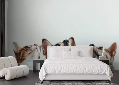 Three curious pets observing something interesting from below in a bright indoor space Wall mural