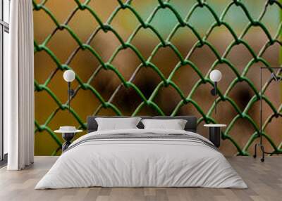 fence of metal rods, green mesh netting rabitz Wall mural