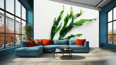 Vibrant spirulina algae strands isolated on a white background, showcasing the natural texture and details of this nutritional superfood Wall mural