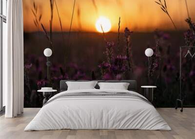 Wild Pink Flowers Sunset II Wall mural