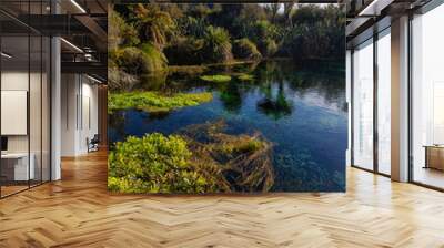 Beautiful clear lake with green scenery around. Wall mural