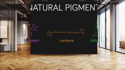 Illustration of natural pigment molecules: anthocyanin, carotene, and chlorophyll. Wall mural