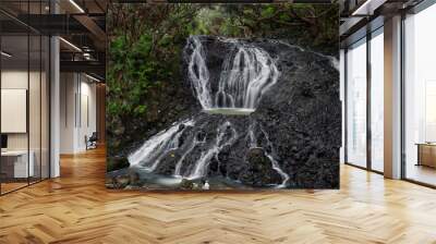 Rocky cascade under dense trees. Wall mural