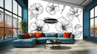 Detailed hand drawn black and white illustration set of flowers hibiscus, leaf. sketch. Vector. Wall mural