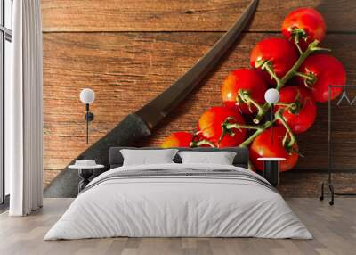  ripe tomatoes on the vine on wooden background Wall mural